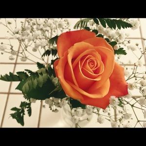 Meet your Posher, Lori